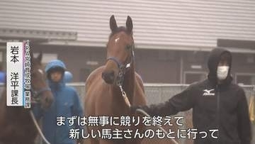 【JRA宮崎】「無事にデビューを」育成馬22頭が中山へ旅立ち　約7カ月の訓練を経て挑む「JRAブリーズアップセール」