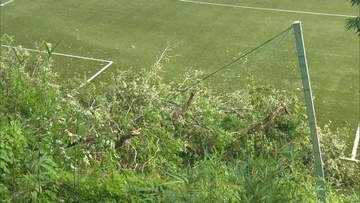 小学生のサッカーの試合中に倒木　観戦していた幼児含む7人がケガ　ネットを突き破り枝がコートへ　静岡・御殿場市