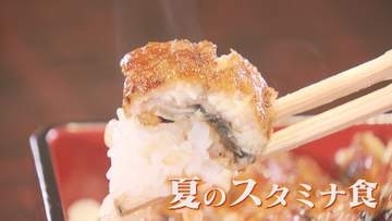 『価格』に注目！土用の丑の日 ウナギ商戦に“異状アリ” 最大で約4割安も 2026年はウナギの“当たり年” 【福岡発】