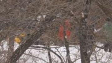 スノーモービル横転　8歳の女の子が死亡　運営会社が無許可でツアー　現場は立入禁止区域　県から中止するよう注意も　長野・白馬村