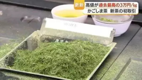 新茶・かごしま茶が快進撃、初取引で過去最高値　抹茶新施設で世界展開へ