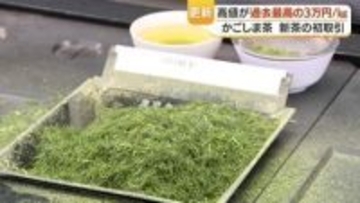 新茶・かごしま茶が快進撃、初取引で過去最高値　抹茶新施設で世界展開へ