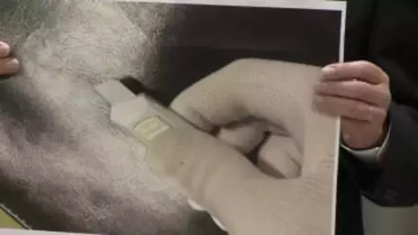 名門進学校で同級生切りつけ…凶器のカッターは刃渡り1cm　過去にトラブルやいじめはなし　東京・練馬区