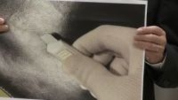 名門進学校で同級生切りつけ…凶器のカッターは刃渡り1cm　過去にトラブルやいじめはなし　東京・練馬区