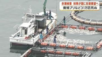 鹿児島・長島町沖の赤潮被害、12億8000万円に　鹿児島・熊本が合同で国に支援要望へ