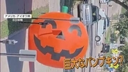 高さ3.6メートルの“巨大パンプキン”が道路へ　“間一髪”ハロウィン飾りで交通トラブル　アメリカ