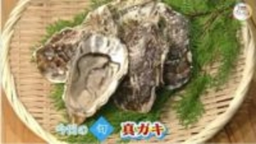 “不漁”で大ピンチの瀬戸内海のカキの成育を祈って…冬の味覚の代表格「真ガキ」を塩焼きにして味わう【岡山・香川発】