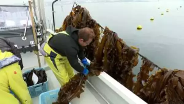 「海保巡視船から重油流出　ポンプ停止せずに稼働し続け、タンクから重油あふれたのが原因　宮城」の画像