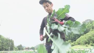 ブロッコリーが52年ぶり指定野菜に　資材高騰などで生産拡大に課題　岩手・宮古地区の農家が語る期待と不安