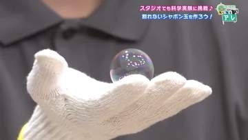 夏休みの自由研究　“負担に感じる”保護者は6割に　自由研究をサポートする現場は「AIが答えてくれる時代だが自分の目で」大分発