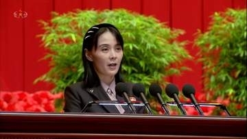 金与正氏が3日連続で反発　IAEAの決議は「影響を及ぼさない」