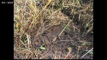 新たに北朝鮮軍の地雷見つかる　軍事境界線近くで地雷が爆発、韓国軍幹部3人が負傷した現場付近　南北の緊張一気に高まる恐れ
