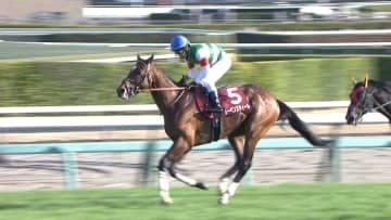 【中山記念＆チューリップ賞・GⅡ】レーベンスティールがゴールドシップ以来の偉業達成！タイセイボーグは4度目の挑戦で重賞初制覇！