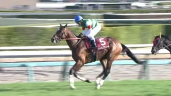 【中山記念＆チューリップ賞・GⅡ】レーベンスティールがゴールドシップ以来の偉業達成！タイセイボーグは4度目の挑戦で重賞初制覇！