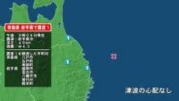 青森県で最大震度1の地震　青森県・八戸市、五戸町、青森南部町、岩手県・宮古市、普代村、盛岡市、八幡平市、軽米町
