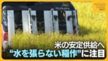米価に翻弄された2025年…米の安定供給へ“水を張らない稲作”に注目！作業コスト削減のメリットの一方で課題も
