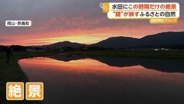 「後世に残したい景色」この時期限定の幻想絶景　鏡のような水面に映る夕焼けと山々　岡山・奈義町