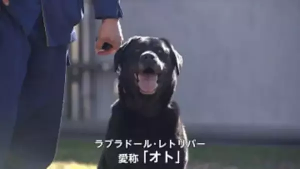 犯人検挙に活躍した警察犬「オト」に迫りくる老い「捜査は任せられない」かつての“相棒”に引き取られリタイア新生活