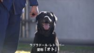 犯人検挙に活躍した警察犬「オト」に迫りくる老い「捜査は任せられない」かつての“相棒”に引き取られリタイア新生活
