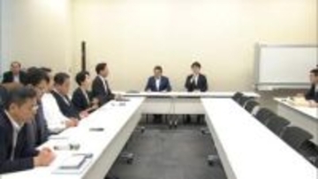 皇族確保策の見解めぐり中道が取りまとめ案了承　女性皇族の身分保持「優先的な方策」　養子案の表現は本部長に一任