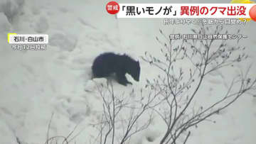 「冬眠期に異常な事態」早くもクマの出没相次ぐ　石川・岩手・北海道・関東でも　専門家「食料求め人里に下りる可能性も」