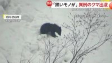 「冬眠期に異常な事態」早くもクマの出没相次ぐ　石川・岩手・北海道・関東でも　専門家「食料求め人里に下りる可能性も」