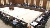 「「国民投票法改正案」が参院憲法審で可決　２４日の本会議を経て成立へ」の画像1