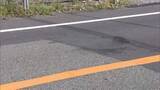 「「人にぶつかった認識はない」保育士の女を逮捕　男性をひき逃げか　静岡・沼津市」の画像1