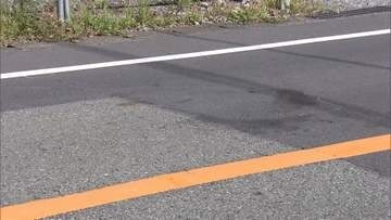 「人にぶつかった認識はない」保育士の女を逮捕　男性をひき逃げか　静岡・沼津市