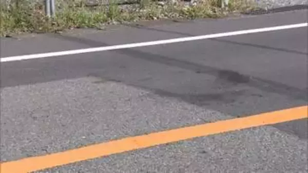 「人にぶつかった認識はない」保育士の女を逮捕　男性をひき逃げか　静岡・沼津市