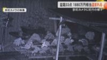 【防犯カメラに犯行の様子】熊本・御船町で“盆栽”窃盗　被害額は1800万円超でオーナーは怒り心頭
