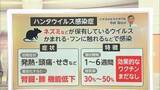 「【解説】ハンタウイルス…ワクチンなし致死率最大50％　ヒトヒト感染想定も「集団感染はまれ」「国内感染拡大の可能性低い」」の画像1