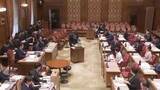 「皇室典範改正案が参議院で審議入り　政府案が与党・国民などの賛成多数で可決の見通し」の画像1