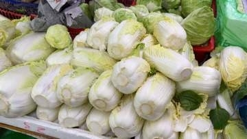 中国産白菜に「ホルムアルデヒド」“薬品漬け”動画拡散で発覚　韓国のキムチにも“飛び火”　日本への影響は…厚労省は「確認中」