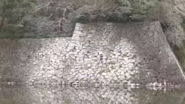 石垣などが真っ白に…名古屋城周辺で大量の“カワウのフン”による被害 近隣住民は「3日に1回くらい洗車」