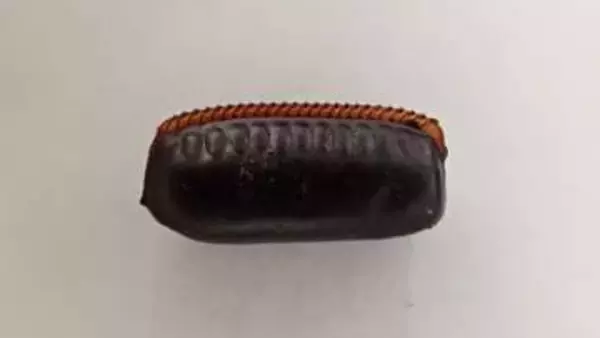 見覚えのない“小豆”を見かけたら「ゴキブリの卵」かも！？気づかず放置→大量発生という地獄絵図を回避するためにチェックすべき場所