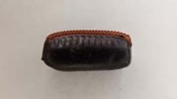 見覚えのない“小豆”を見かけたら「ゴキブリの卵」かも！？気づかず放置→大量発生という地獄絵図を回避するためにチェックすべき場所