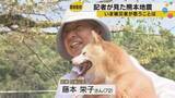 「豆柴50匹を手放す決断、断水と猛暑が追い詰めた熊本のブリーダー「廃業の方向には行くでしょうね」」の画像1