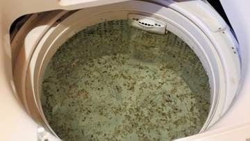 「洗濯槽の洗濯」もサボらないで！2カ月放置で黒カビがびっしり…洗濯研究家が正しいケア方法を伝授