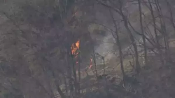 群馬山火事が発生4日目でほぼ消し止められる…空き家全焼など約53ヘクタール焼損もけが人なし　鎮火に向け引き続き消火活動