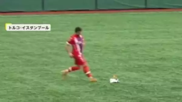 試合中にサッカーボールがカモメを直撃…地面に落下　選手らが“心臓マッサージ”の2分後…徐々に回復の奇跡　トルコ