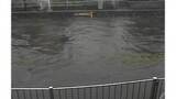 「東京・善福寺川にレベル4氾濫危険警報　板橋区で1時間120ミリ超の雨、東京23区などで大雨危険警報も」の画像1