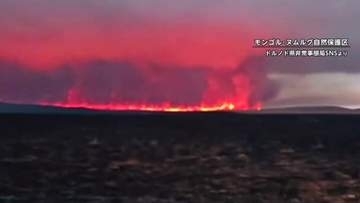 モンゴルの草原火災の復旧支援でJICA専門家が現地に