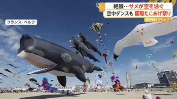 生き物や人気キャラが大空遊泳　「国際たこあげ祭り」に世界から愛好家集結　81人が“空中ダンス”競う大会も　フランス