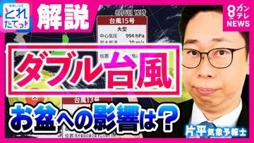 【ダブル台風】「古い家が風で押しつぶされてもおかしくない」　“ダブル台風”接近でお盆休みに影響か　北日本・東日本は注意を　沖縄は7～8日「最大瞬間風速55メートル」予想　台風13号・台風15号