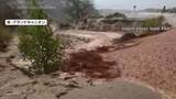 「グランドキャニオンで大規模洪水　1人死亡、少なくとも15人が安否不明　日本人巻き込まれたとの情報なし」の画像1