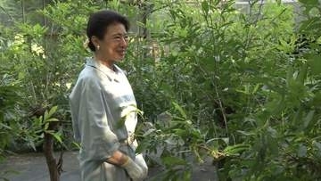 「きれいですね、緑色で」皇后さま、天蚕の繭を収穫　代々受け継がれるご養蚕　天皇陛下と愛子さまも手伝われる