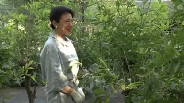 「きれいですね、緑色で」皇后さま、天蚕の繭を収穫　代々受け継がれるご養蚕　天皇陛下と愛子さまも手伝われる