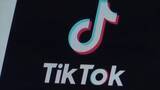 「「TikTokに中毒性」EUが規制法に違反との見解」の画像1