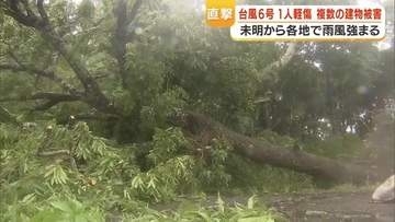 台風６号が奄美から県本土を直撃　停電３万戸超、交通機関も終日影響【鹿児島】